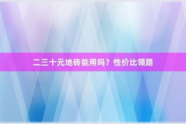 二三十元地砖能用吗?性价比领路